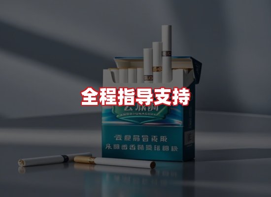 专业团队